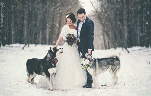 свадьба зимой